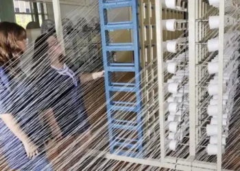 CTC lidera Projeto de R$ 25,7 Milhões para revolucionar a produção de Malva na Amazônia
