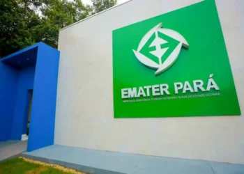 EMATER abre PSS com salário de até R$ 4,7 mil e Castanhal está na lista!